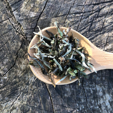 2025 Glenburn Moonshine Darjeeling Tea