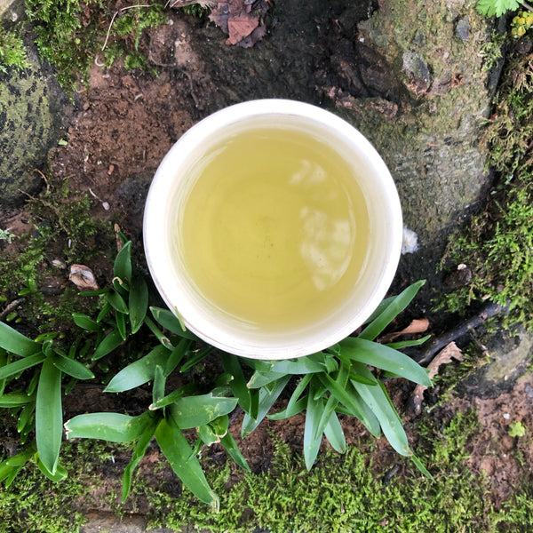Mr Irie's High Grade Sencha