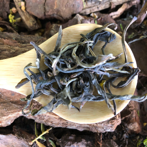 2018 Sheng Puer : A Bai La co-operative Jingmai mountain