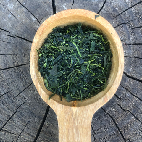Takahashi San Tamaryokucha first harvest