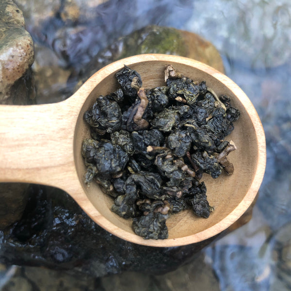 Custom Baked Dong Ding : Baked Jin Xuan Oolong Tea