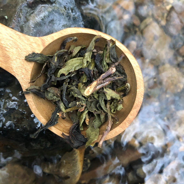 2023 Taiwan Bao Zhong : Sijichun Oolong Tea