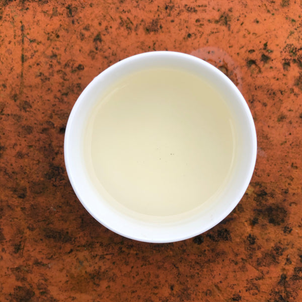 Mr Zheng's 2024 Bai Mu Dan