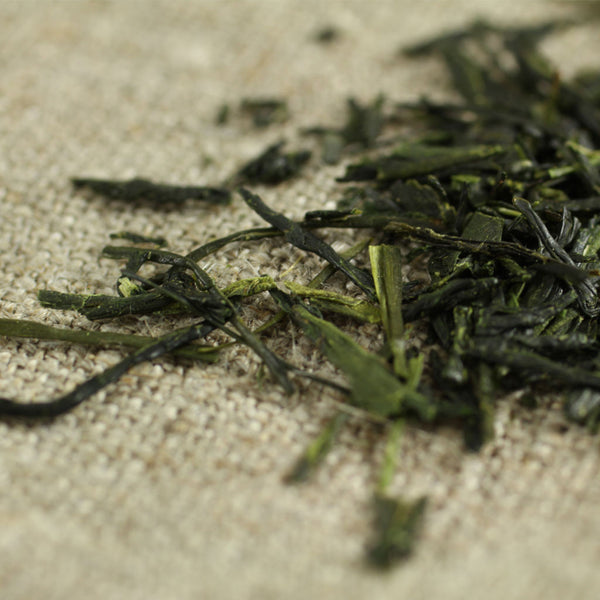 Sencha Superior - Comins Tea - 1