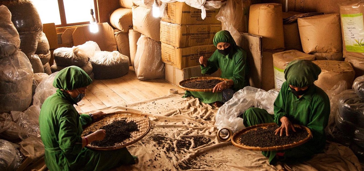 Comins Wholesale | Tea With purpose