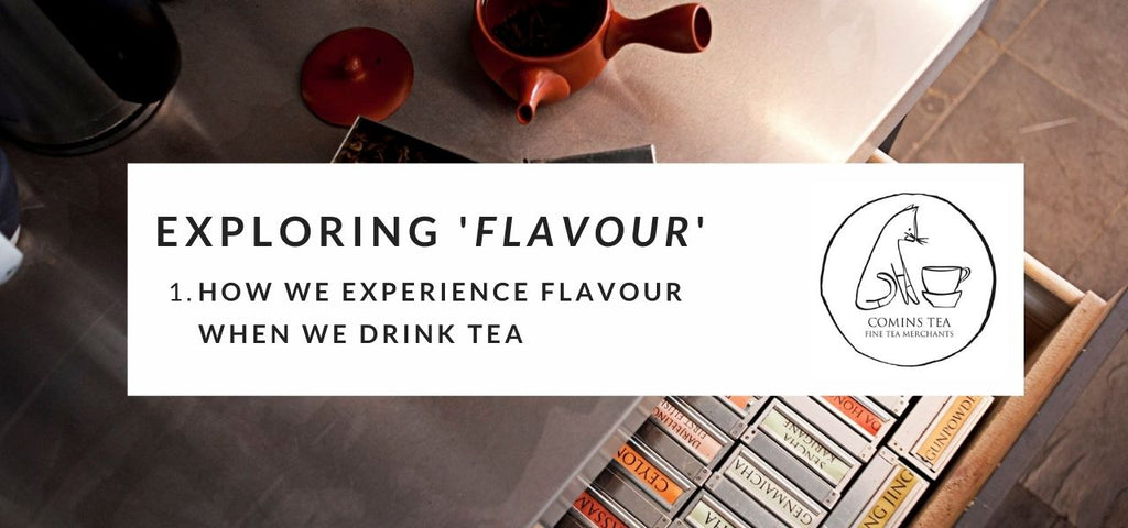 Exploring Flavour : 1. How we Experience Flavour