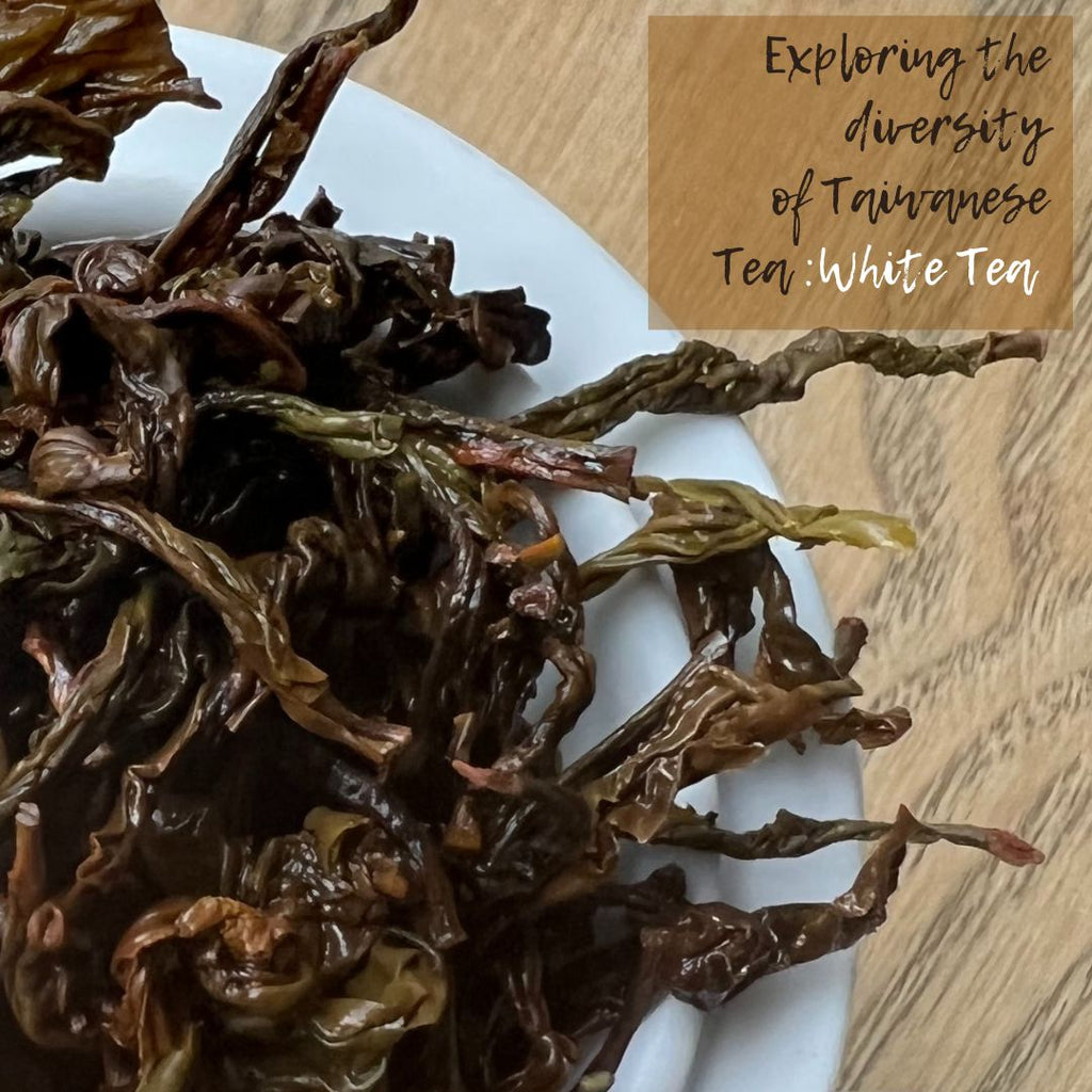 Exploring the diversity of Taiwanese Tea: Blog 1 : White tea