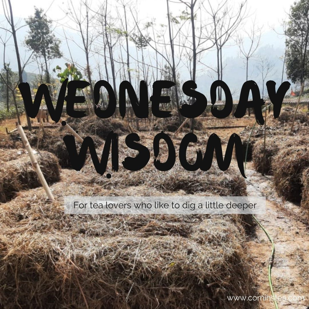 Wednesday Wisdom with KC & Michelle Week 6 : Winter in Darjeeling & Assam : A Glimpse at activity in January & February