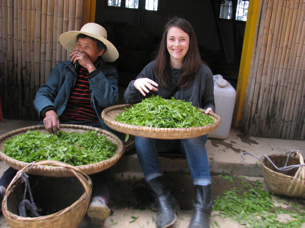 Hunan : To the Tea Fields