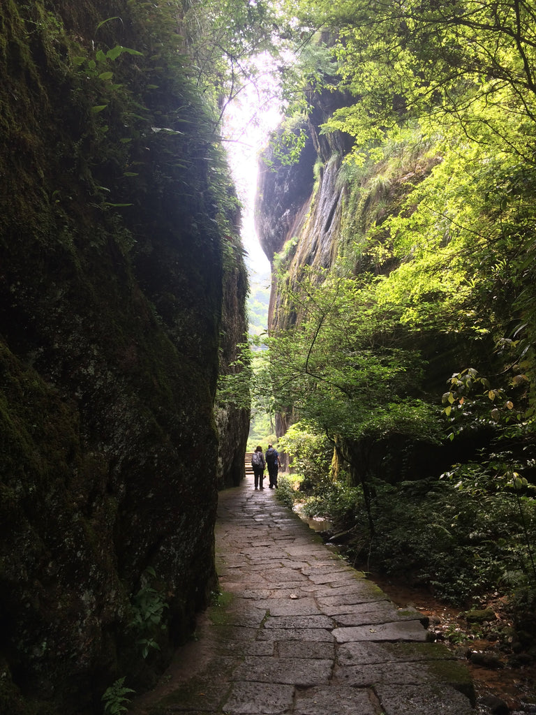 China 2017 | Day 10 | Wuyi