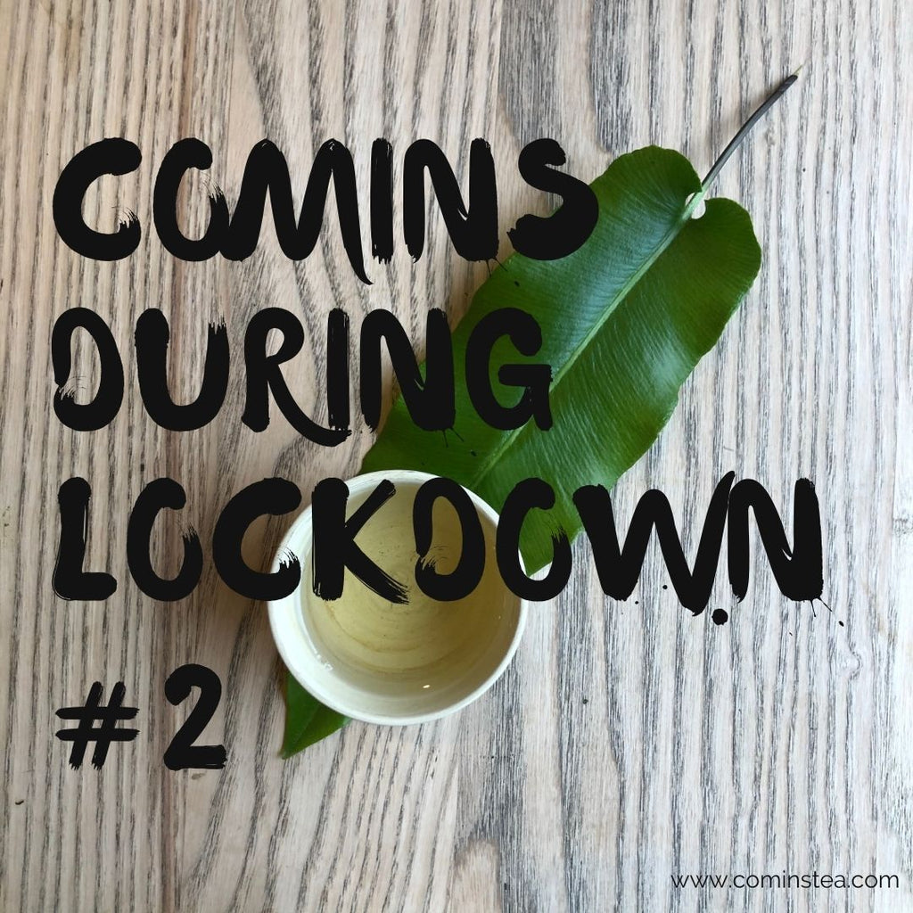 Comins During Lockdown #2