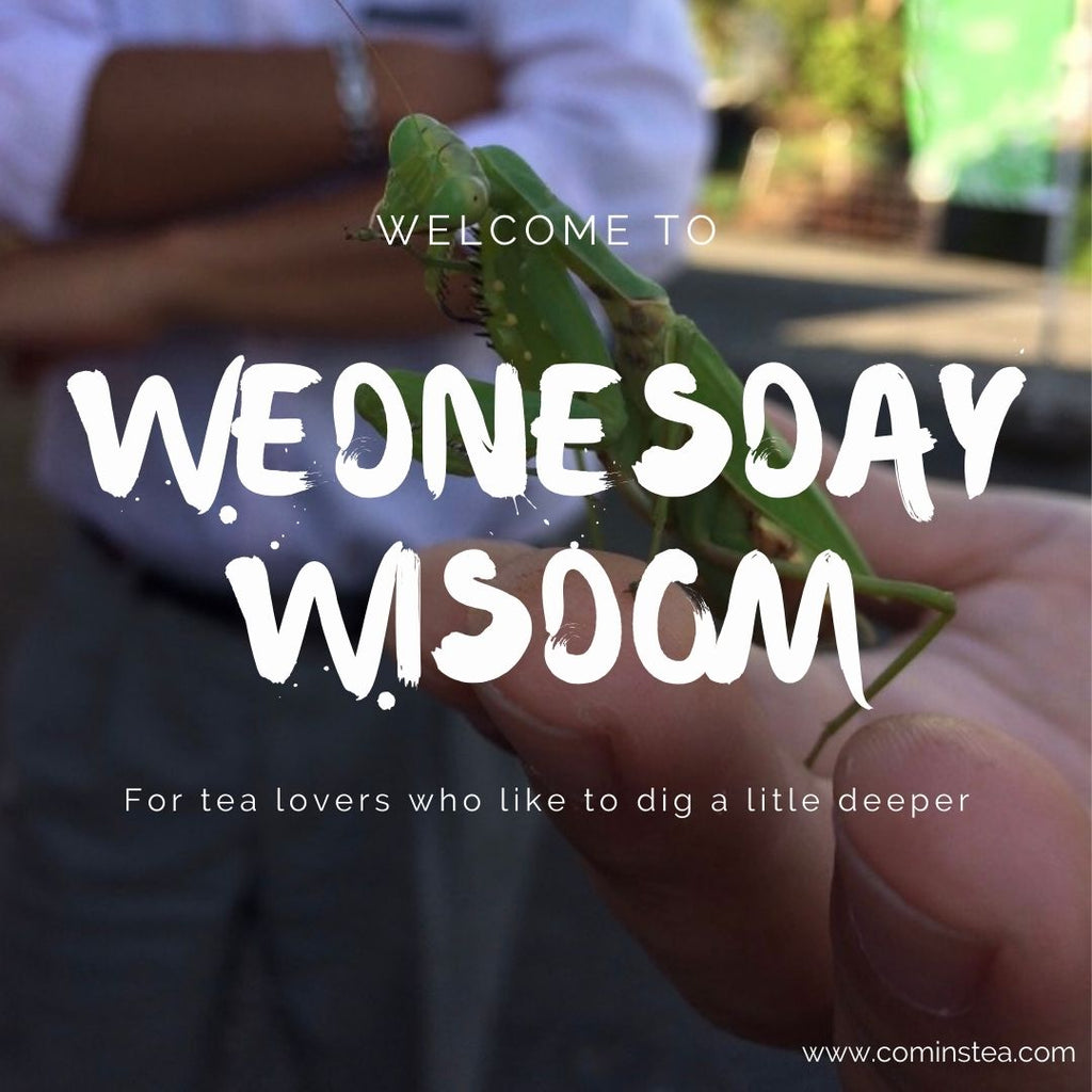 Wednesday Wisdom with Michelle & KC : Week 4 : Some questions to ponder....soil, organic cultivation & pests