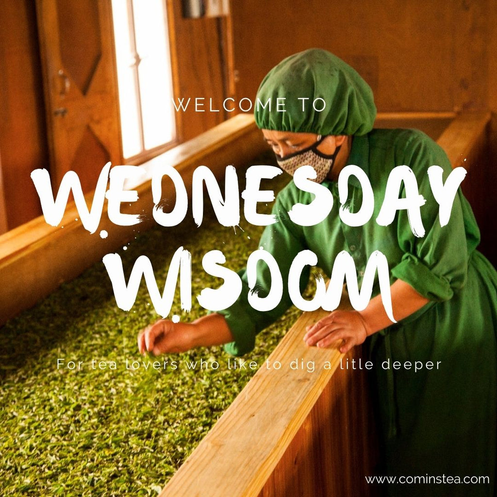 Wednesday Wisdom with Michelle & KC : Week 3 : Withering & the development of flavour in tea