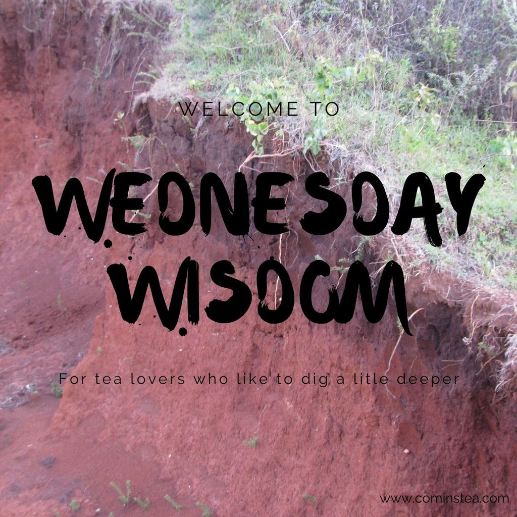 Wednesday Wisdom with Michelle & KC : Week 5 : Soil  // Smell : Touch : Sight