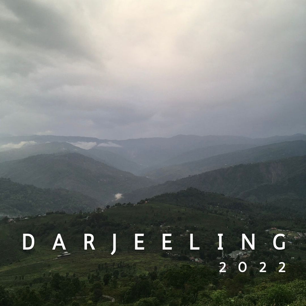 Tea Travels : Spring 2022 : A month in Darjeeling