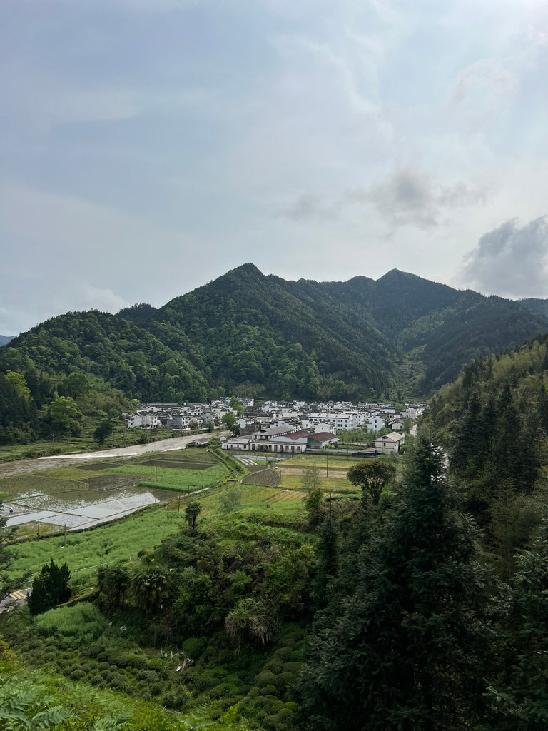 China 2024 Day 9 : Wonderful Wuyuan