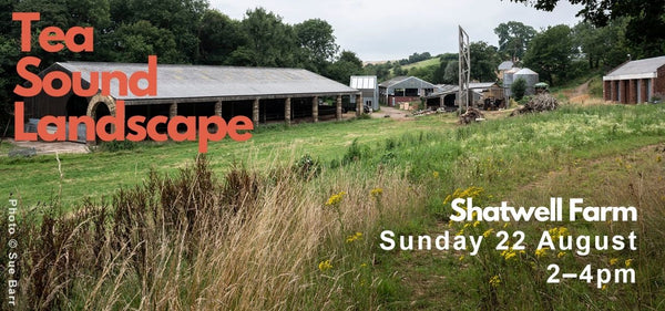 Tea Sound Landscape : 22.8.21