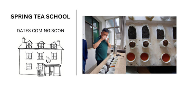 Online &amp; in person Tea School &amp; Tastings