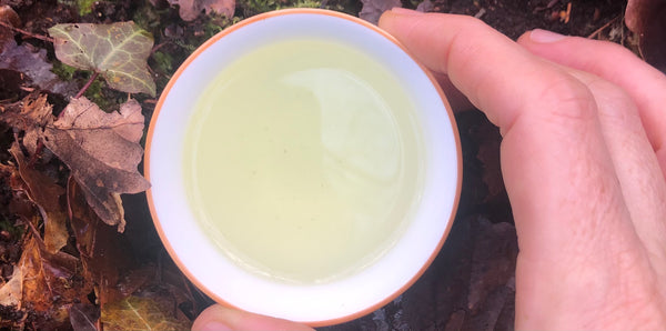 Tea on the move : Travel Tea Bags &amp; Tea Sets