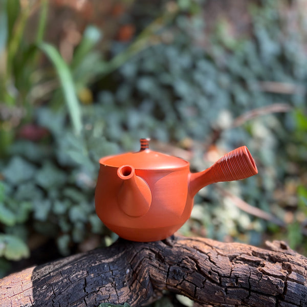 330ml Red Shudei Kyusu with sesame filter & black lid handle [Hokuryu Kiln]