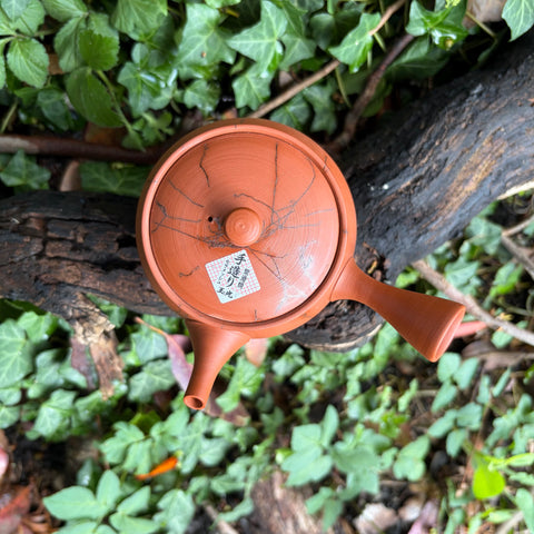 270ml Mogake”藻掛“ Red Shudei Kyusu with sesame filter [Gyokko Kiln]