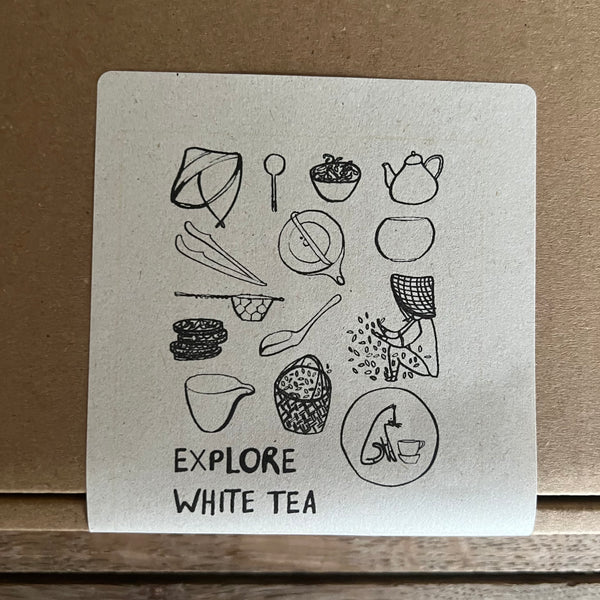 EXPLORE White Tea [3 white tea gift box]