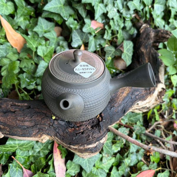 280ml Yōhen (窯変) Bani / Tobikanna (飛び鉋) Black Shudei (kokudei) Kyusu with sesame filter [Gyokko Kiln]