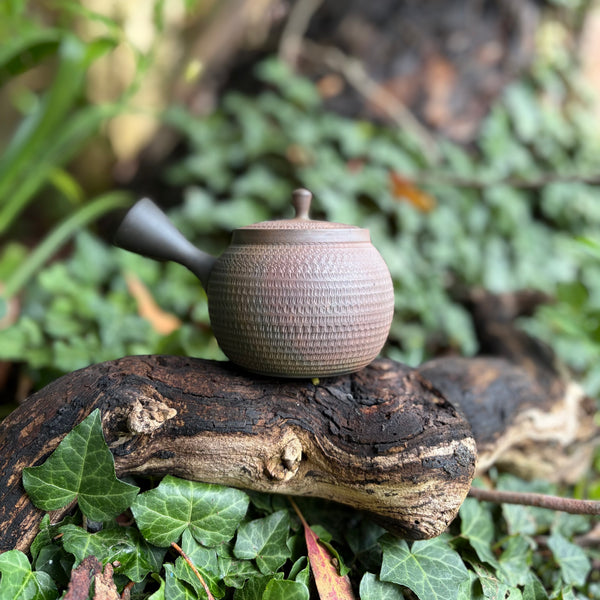 280ml Yōhen (窯変) Bani / Tobikanna (飛び鉋) Black Shudei (kokudei) Kyusu with sesame filter [Gyokko Kiln]