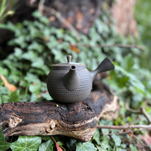 280ml Yōhen (窯変) Bani / Tobikanna (飛び鉋) Black Shudei (kokudei) Kyusu with sesame filter [Gyokko Kiln]