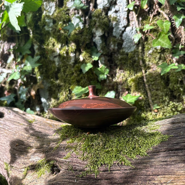 50ml Brown Clay Benishibori Shiboridashi [Gyokuryū Kiln]