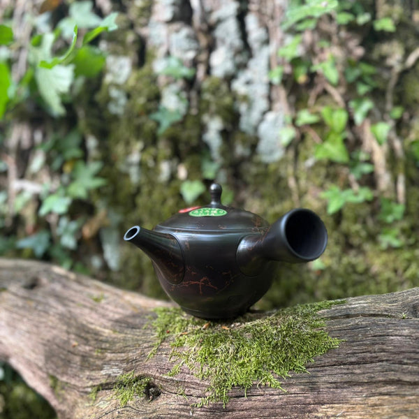 250ml Brown Clay Benishibori Kyusu with sesame filter [Gyokuryū Kiln]