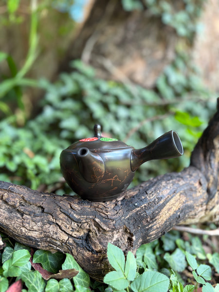 250ml Brown Clay Benishibori Kyusu with sesame filter [Gyokuryū Kiln]
