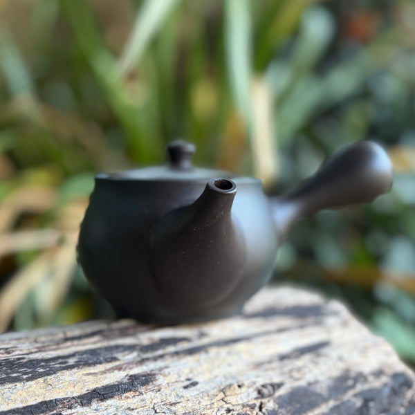 310ml Ikomi [鋳込み] Black Shudei/Kokudei with flower decoration Kyusu Stainless Strainer [Yamafusa Kiln]