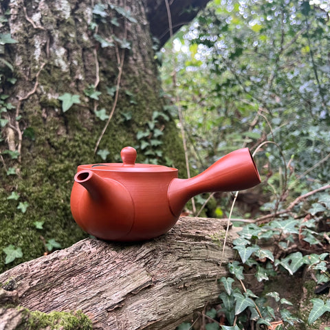 Everyday range : 360ml Matt Red Kyusu teapot with belt strainer (HasamiYaki)