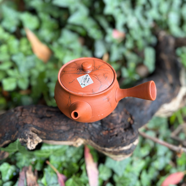 270ml Mogake”藻掛“ Red Shudei Kyusu with sesame filter [Gyokko Kiln]