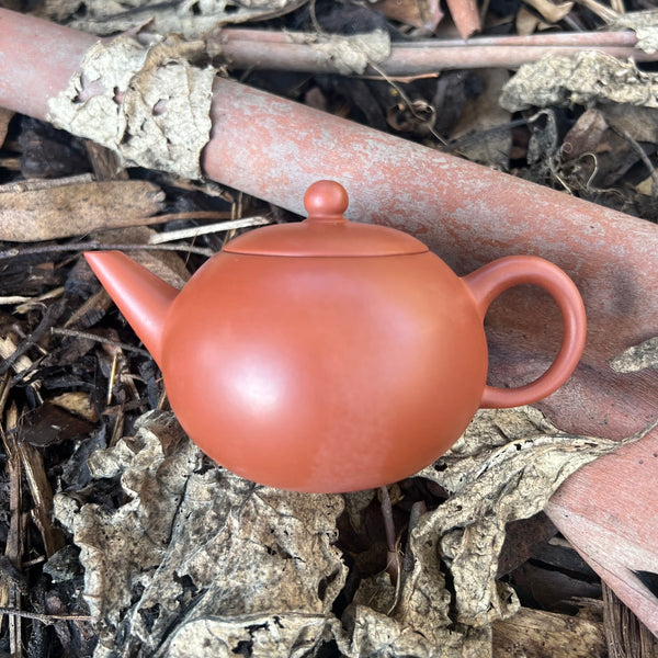 150ml Red Clay Teapot