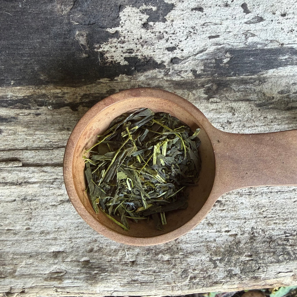 Iizuka Family [Shizouka] Sencha Fukamushi