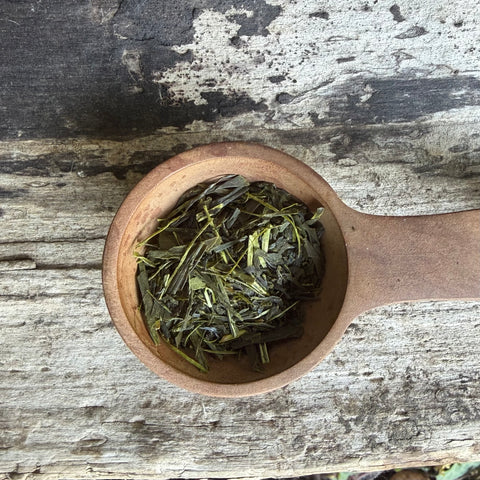 Iizuka Family [Shizouka] Sencha Fukamushi