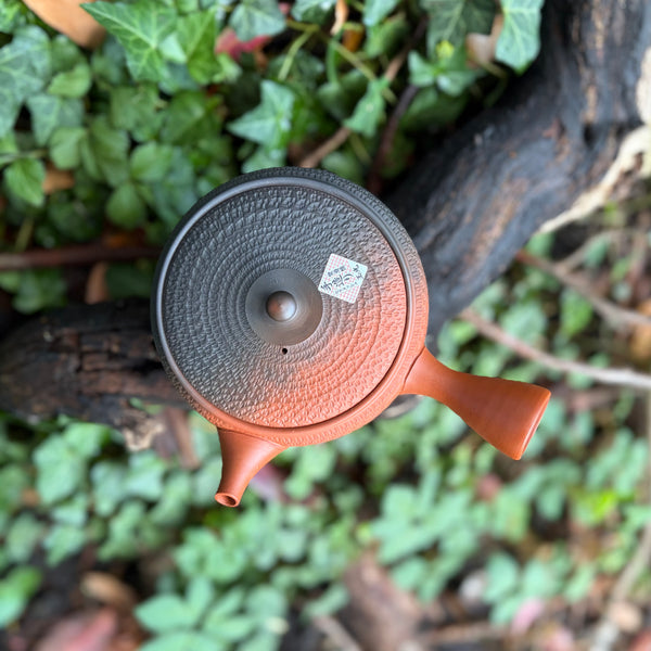 310ml Yōhen (窯変) Bani/Tobikanna (飛び鉋) Shudei Tokoname Hira-Kyusu with sesame filter [Gyokko Kiln]