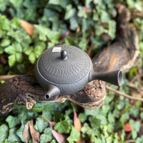 200ml Black Shudei (Kokudei) Hira-Kyusu with Bani / Tobikanna (飛び鉋) decoration & sesame filter [Gyokko Kiln]