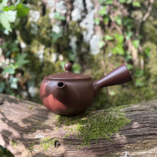 Everyday range : 340ml Ikomi [鋳込み] Brown with flowers Tokoname Kyusu Belt Strainer [Tomisen Kiln]