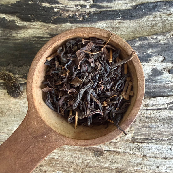 Iizuka Family Sukemune [Shizouka] Black Tea