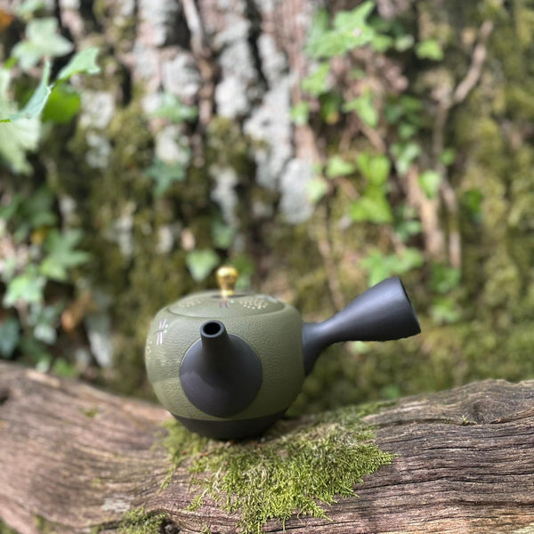 200ml Green/Black with gold Maru-gata (丸形) Ikomi Kokudei kyusu with sesame strainer [Shōhō Kiln]