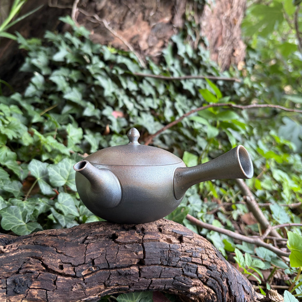 240ml Two tone metallic Silver/Grey Hira-Kyusu with sesame filter [Tomohiro Kiln]