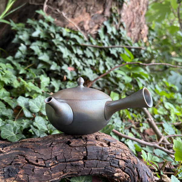 240ml Two tone metallic Silver/Grey Hira-Kyusu with sesame filter [Tomohiro Kiln]