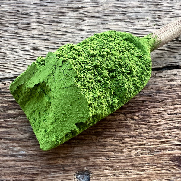 Yuta's 2025  Super Premium Grade Gokou Matcha
