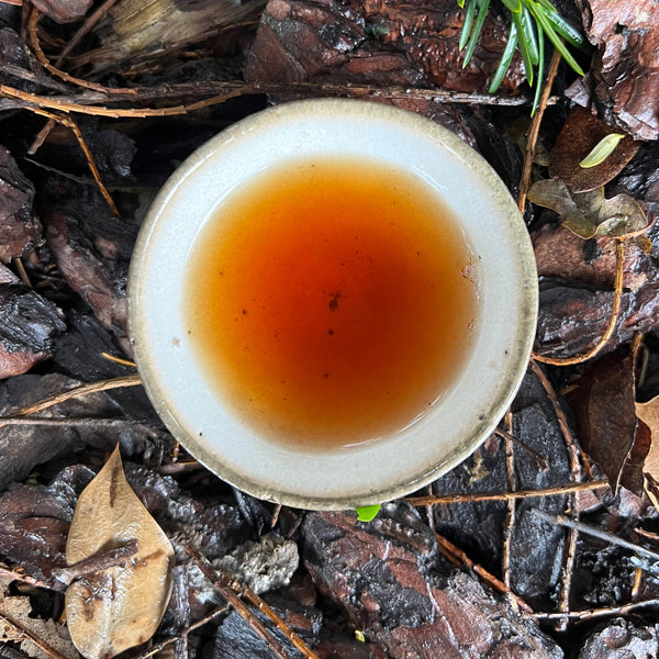 Tokuya’s Sencha Tea (Native Cultivar)