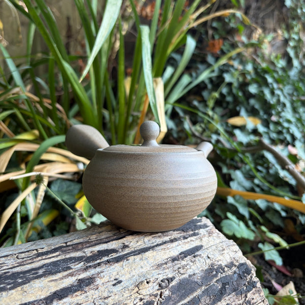 330ml Ikomi [鋳込み] Yakijime Kyusu with Stainless Strainer [Morimasa Kiln]