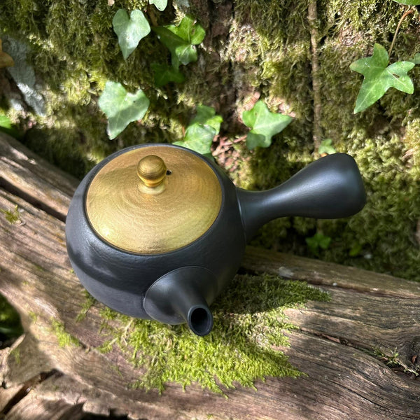 200ml Gold Lid Maru-gata (丸形) Ikomi Kokudei kyusu with sesame strainer [Shōhō Kiln]