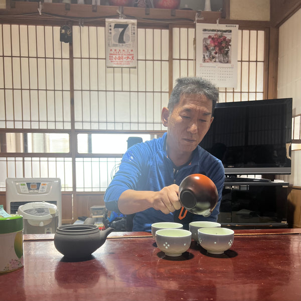 Iwasaki Family [Shizouka] High Grade Sencha